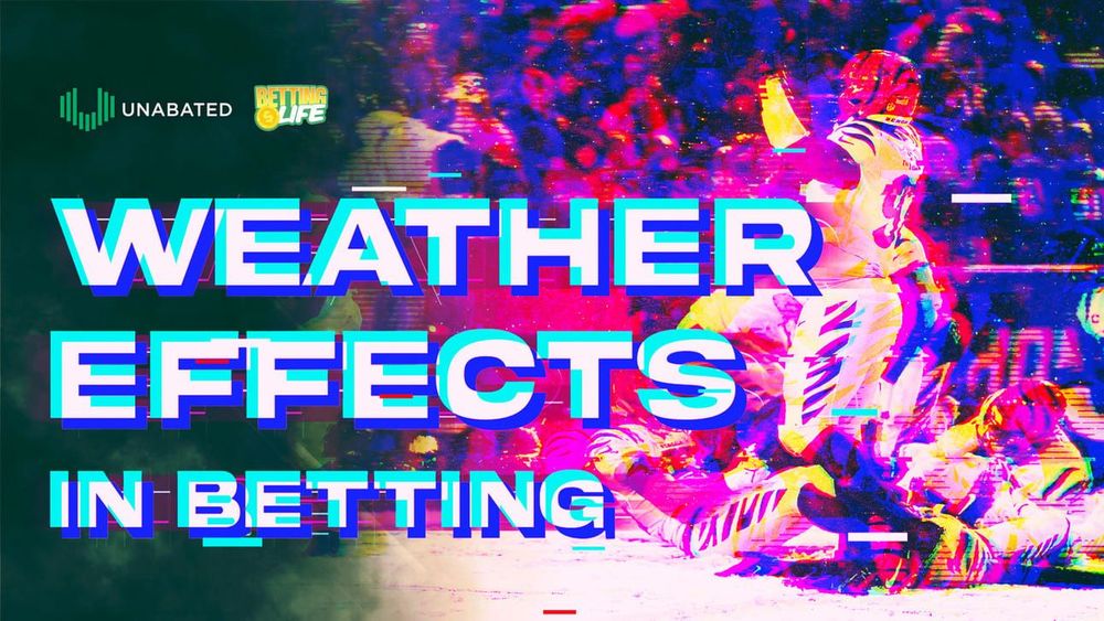 🌪️ Quarter. Back. Chaos.